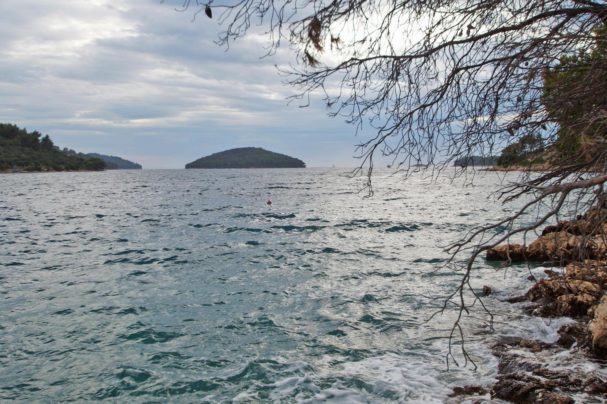 Apartments With Sea Views Vela Luka Exteriér fotografie